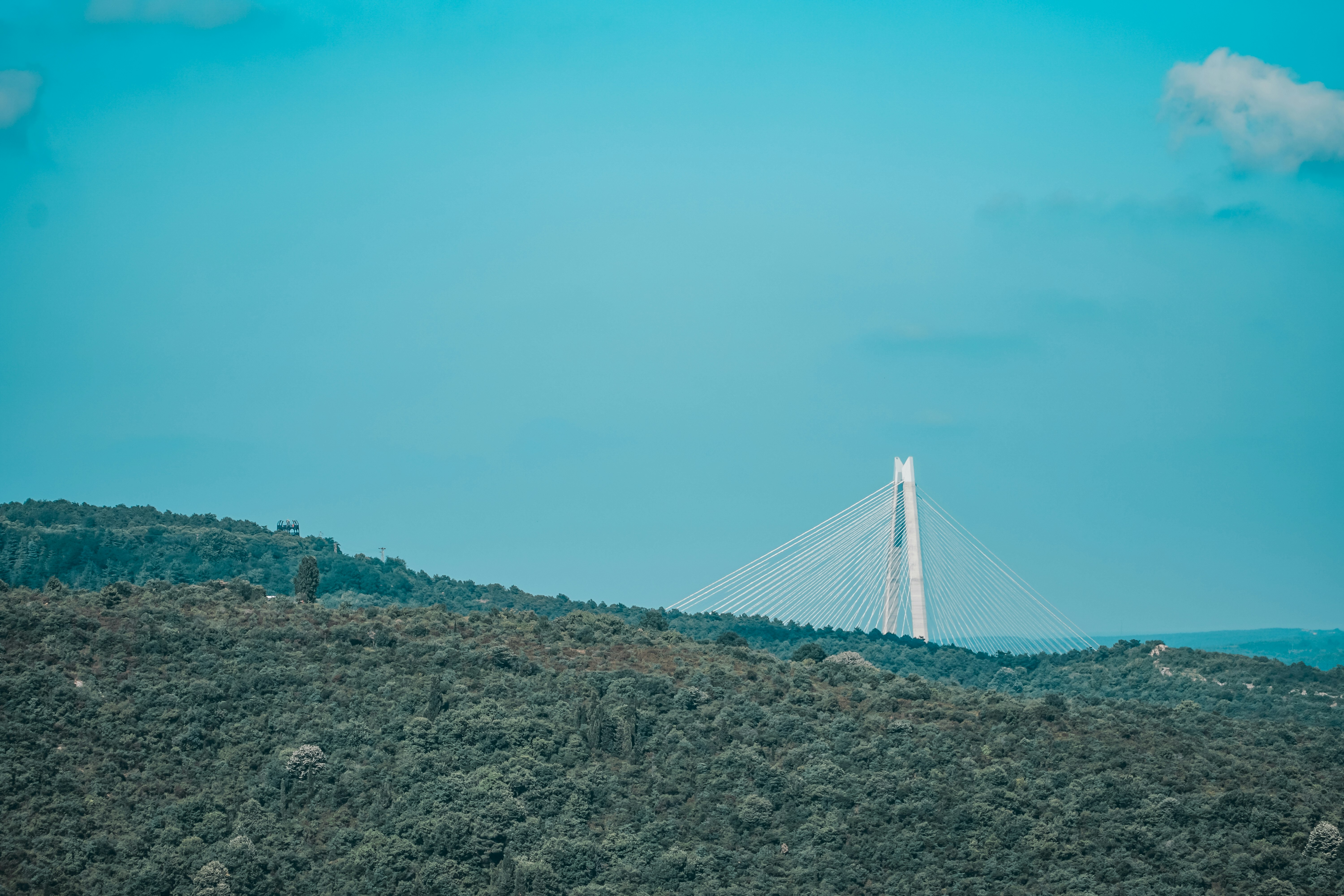 white bridge over the green grass field during daytime